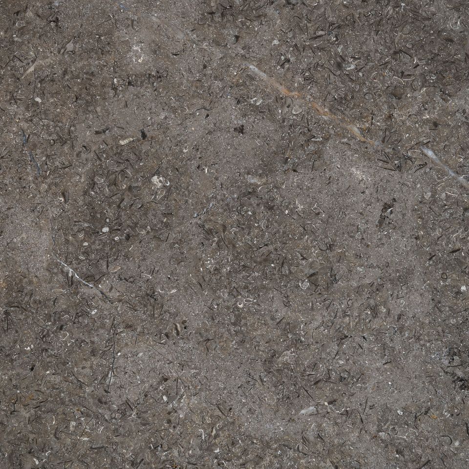 Triesta Grey-Sinai Pearl