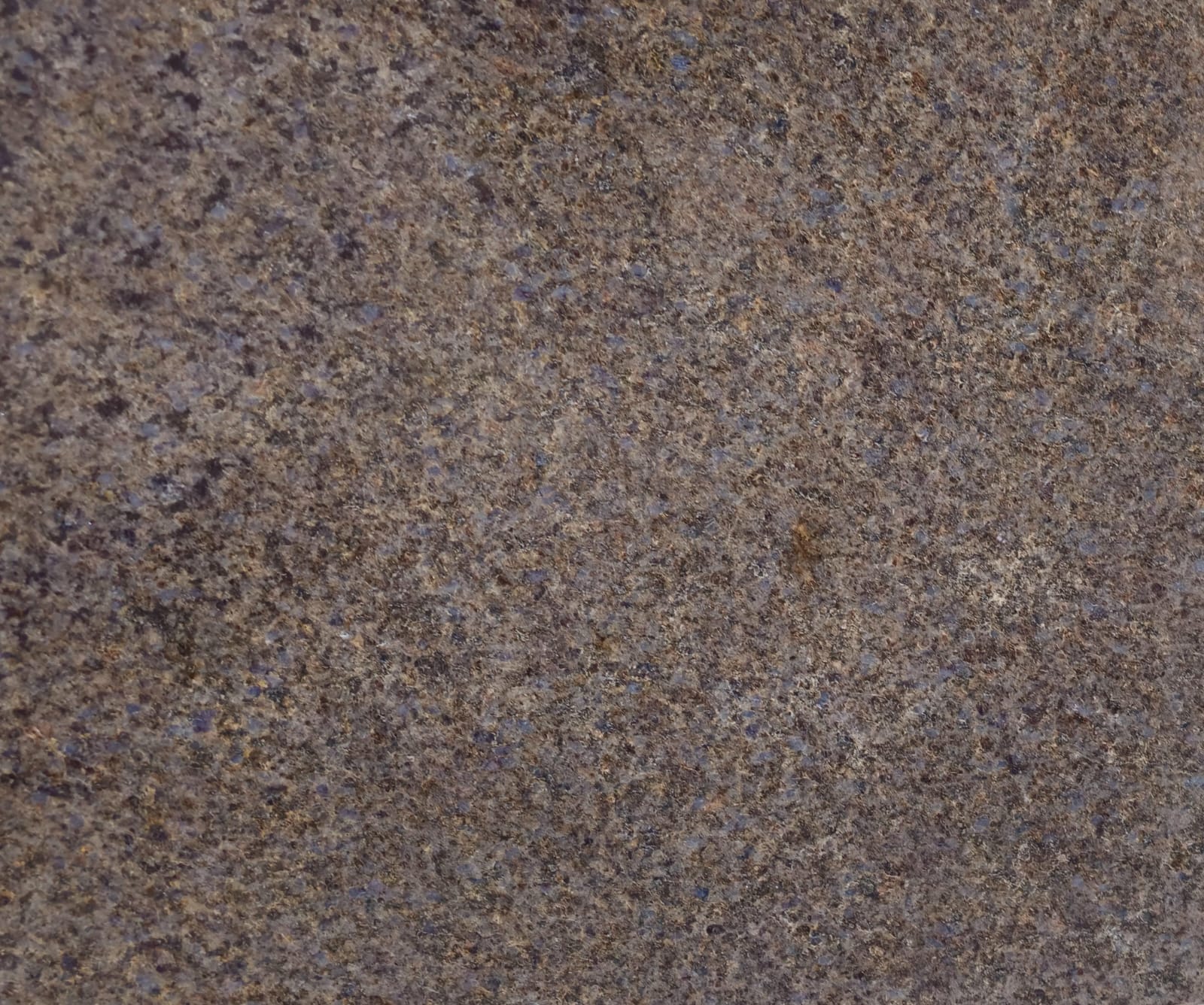 Brown quseir